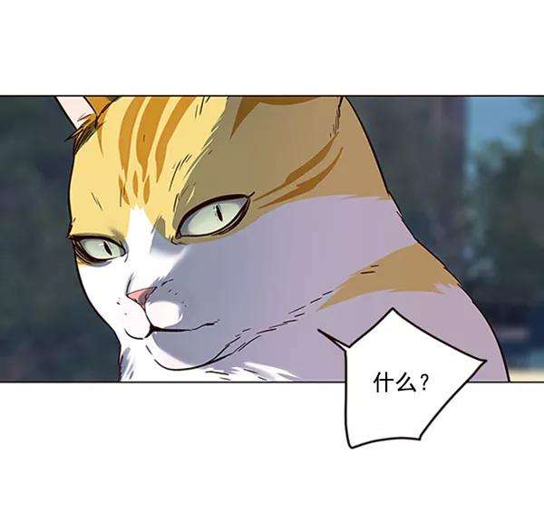 觉醒吧，铲屎官！91话