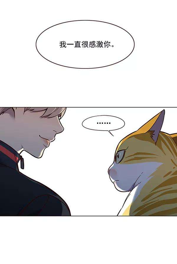 觉醒吧，铲屎官！91话