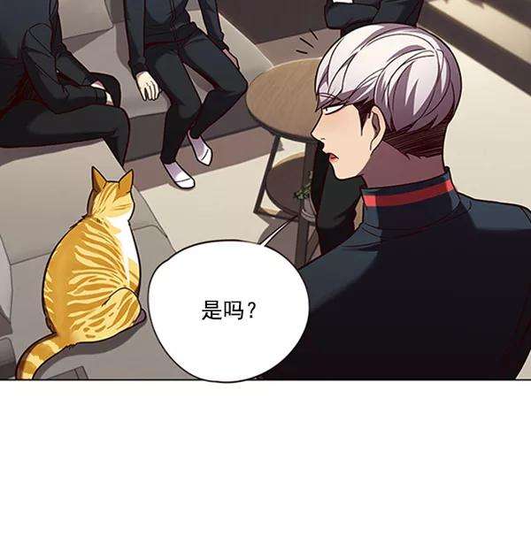 觉醒吧，铲屎官！91话