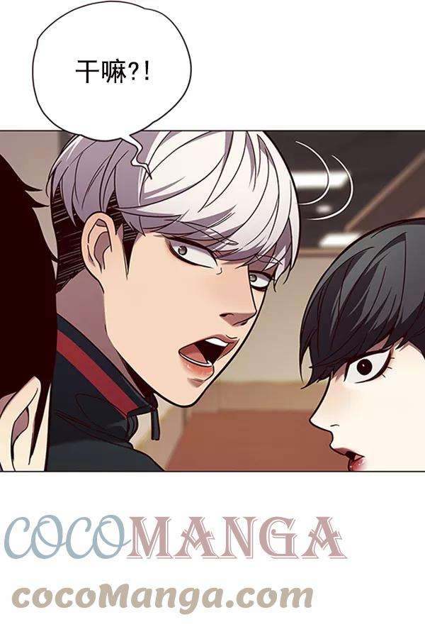 觉醒吧，铲屎官！91话