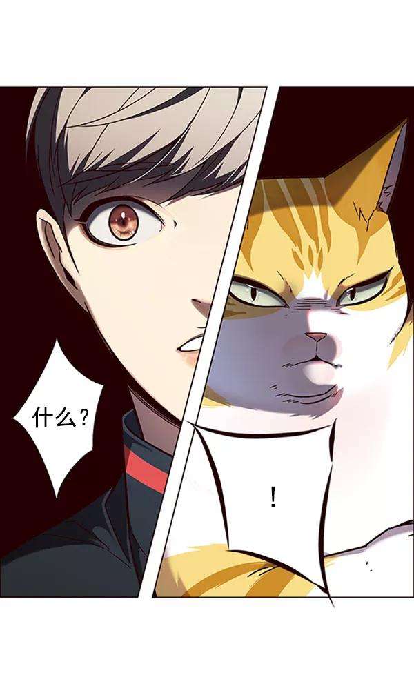 觉醒吧，铲屎官！91话