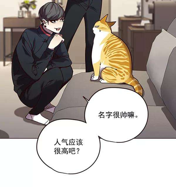 觉醒吧，铲屎官！91话