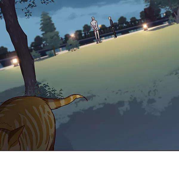 觉醒吧，铲屎官！91话