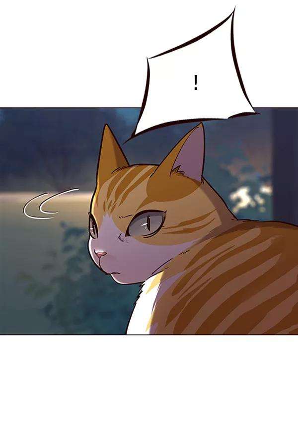 觉醒吧，铲屎官！91话