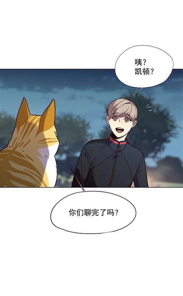 觉醒吧，铲屎官！91话