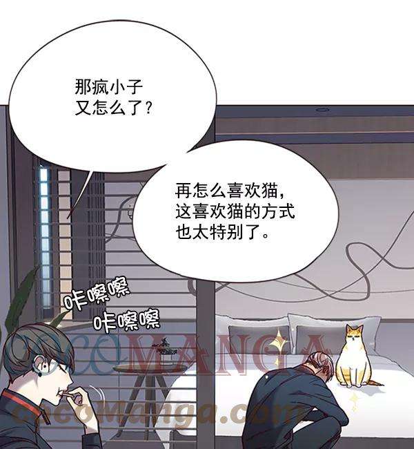 觉醒吧，铲屎官！92话