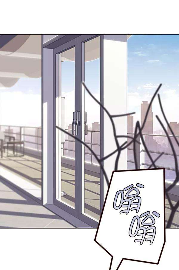 觉醒吧，铲屎官！92话