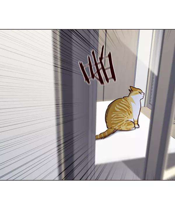 觉醒吧，铲屎官！92话