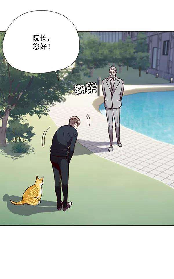 觉醒吧，铲屎官！92话