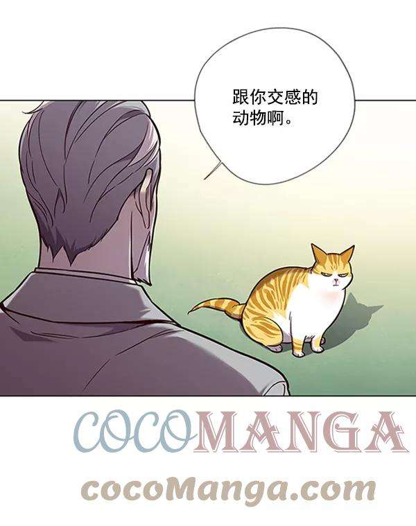 觉醒吧，铲屎官！92话