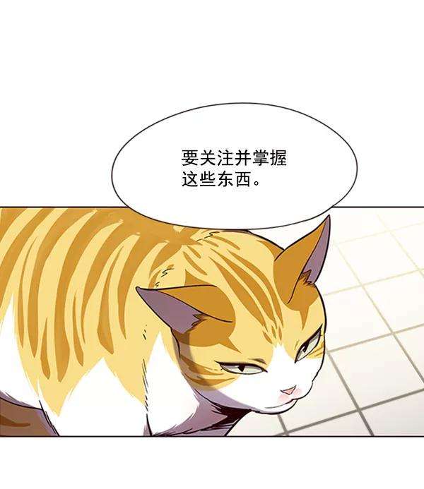 觉醒吧，铲屎官！92话
