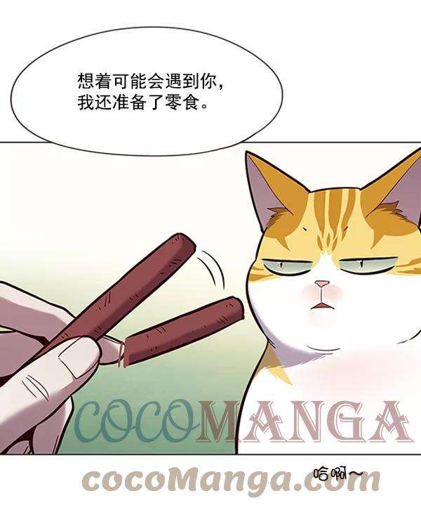 觉醒吧，铲屎官！92话