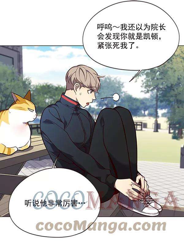 觉醒吧，铲屎官！92话