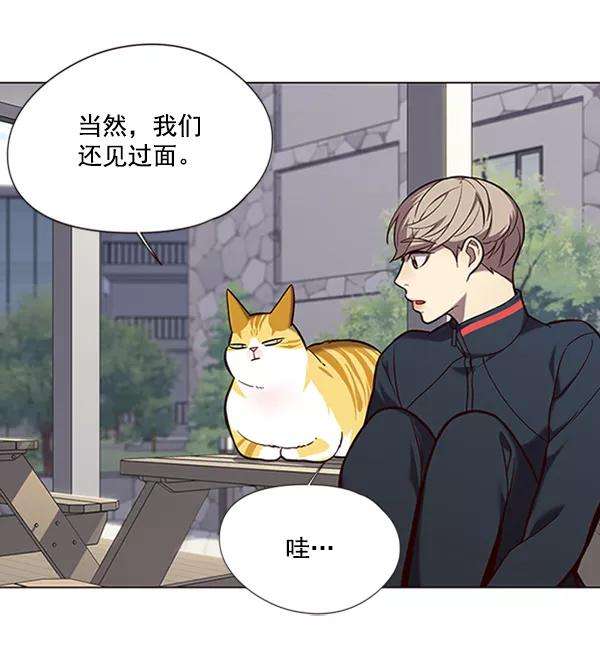 觉醒吧，铲屎官！92话