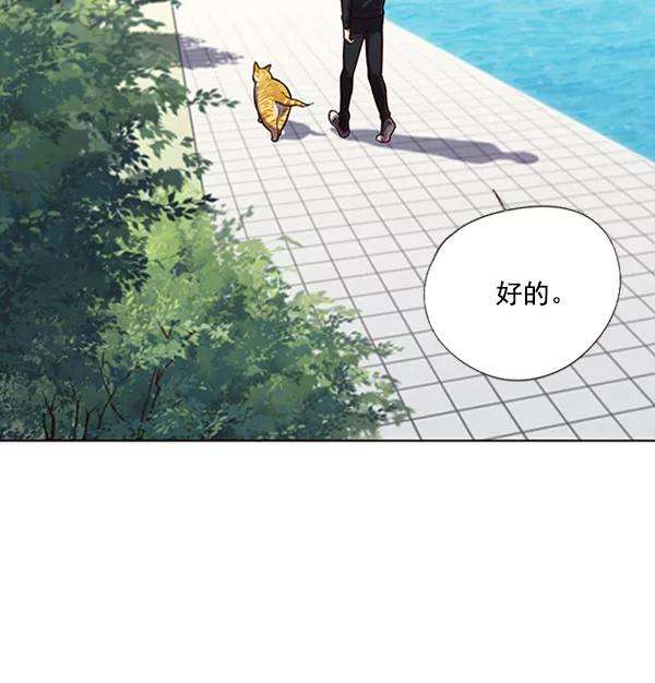 觉醒吧，铲屎官！92话