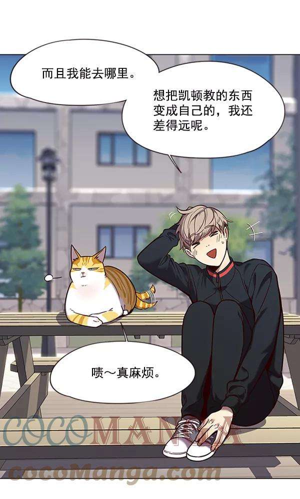 觉醒吧，铲屎官！92话