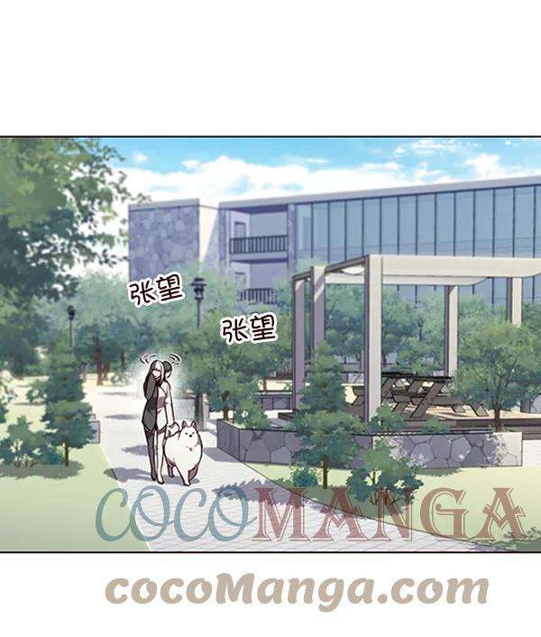 觉醒吧，铲屎官！92话