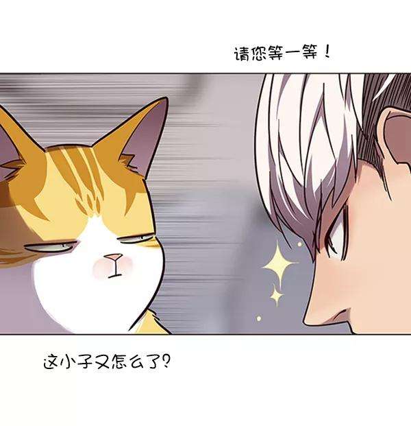 觉醒吧，铲屎官！92话