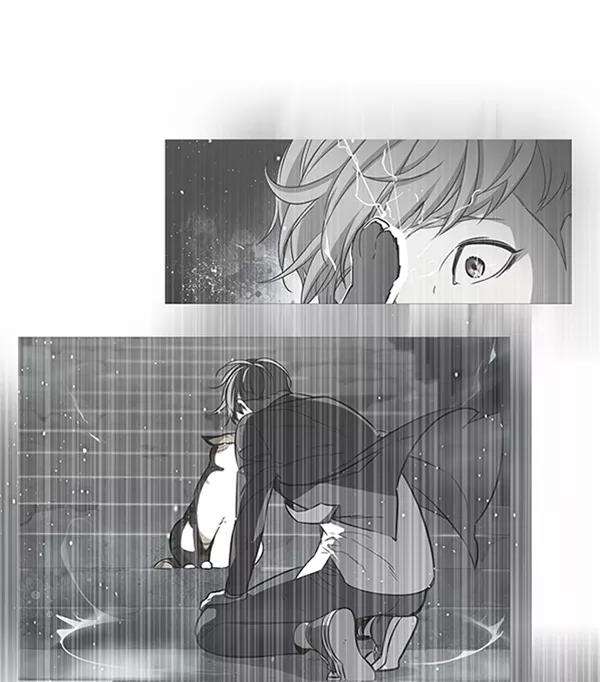 觉醒吧，铲屎官！93话