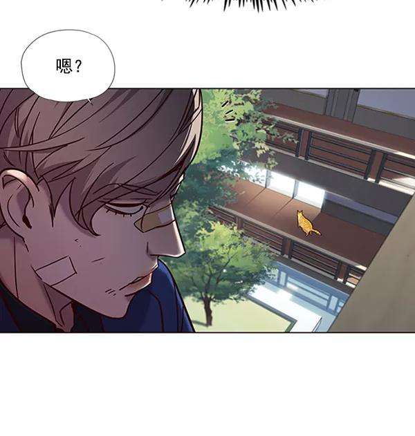 觉醒吧，铲屎官！93话