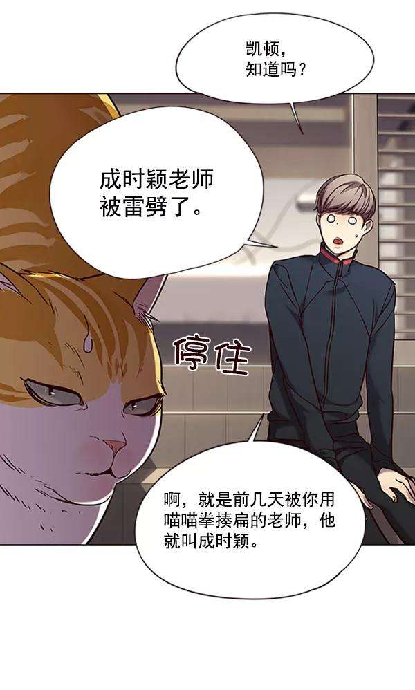 觉醒吧，铲屎官！94话