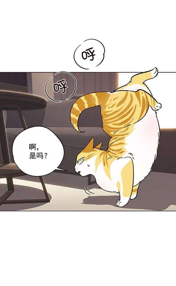觉醒吧，铲屎官！94话