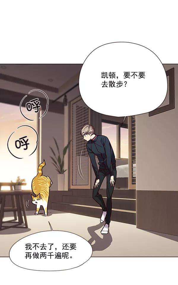 觉醒吧，铲屎官！94话