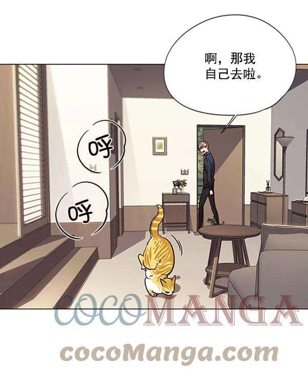 觉醒吧，铲屎官！94话