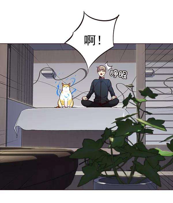 觉醒吧，铲屎官！95话