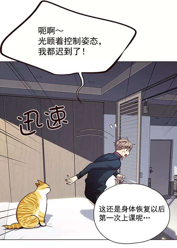 觉醒吧，铲屎官！95话