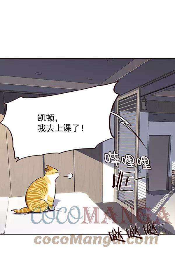 觉醒吧，铲屎官！95话