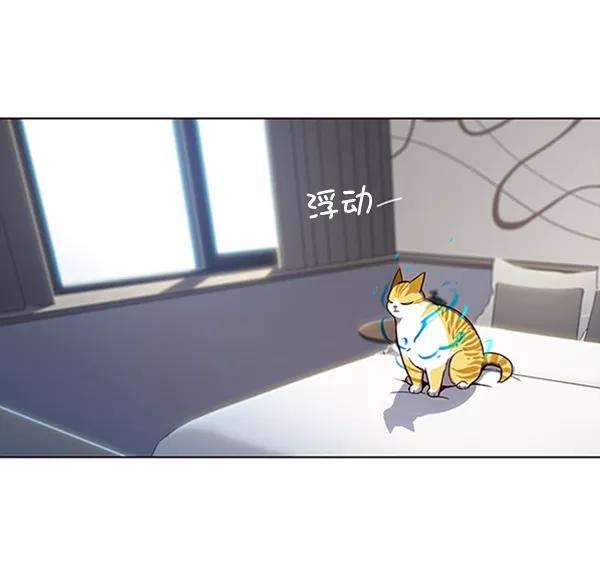 觉醒吧，铲屎官！95话