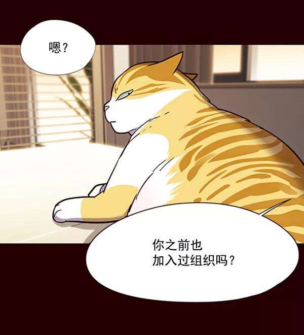 觉醒吧，铲屎官！96话