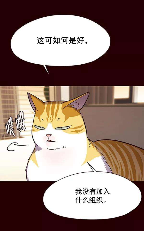 觉醒吧，铲屎官！96话