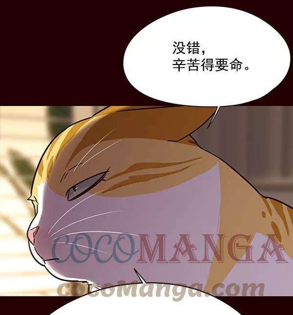 觉醒吧，铲屎官！96话