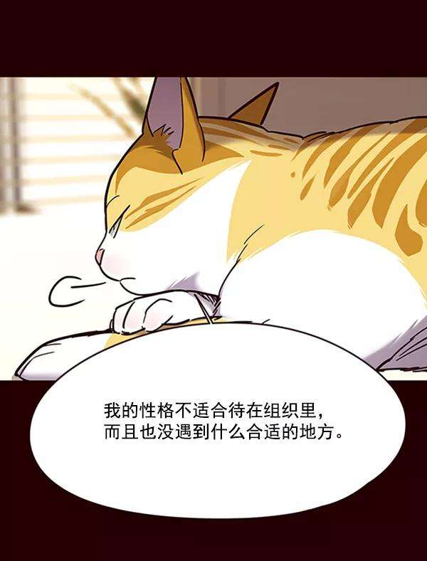 觉醒吧，铲屎官！96话