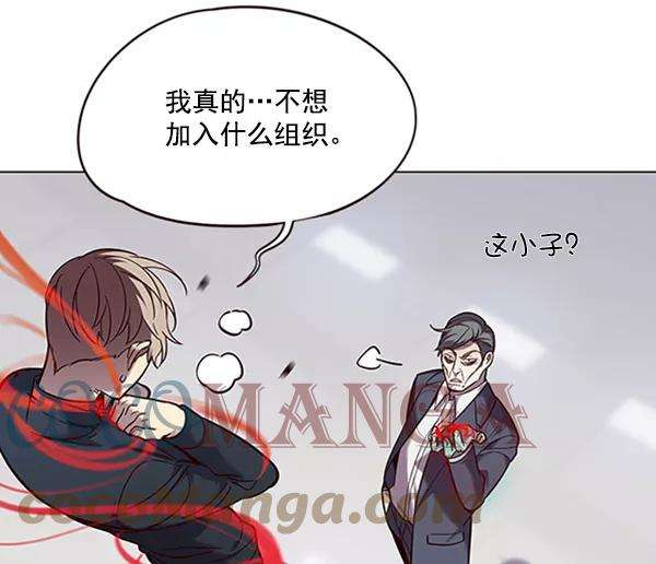 觉醒吧，铲屎官！96话