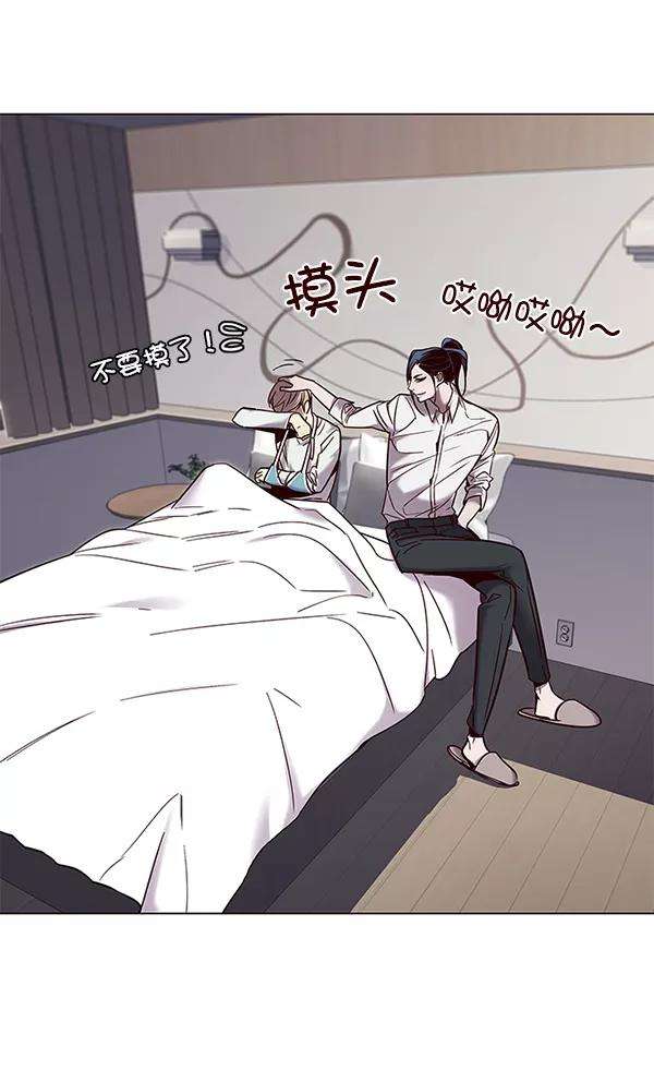 觉醒吧，铲屎官！97话