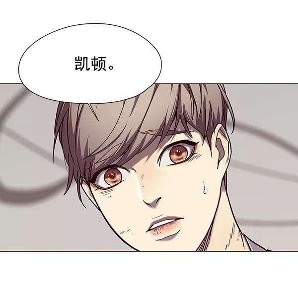 觉醒吧，铲屎官！97话