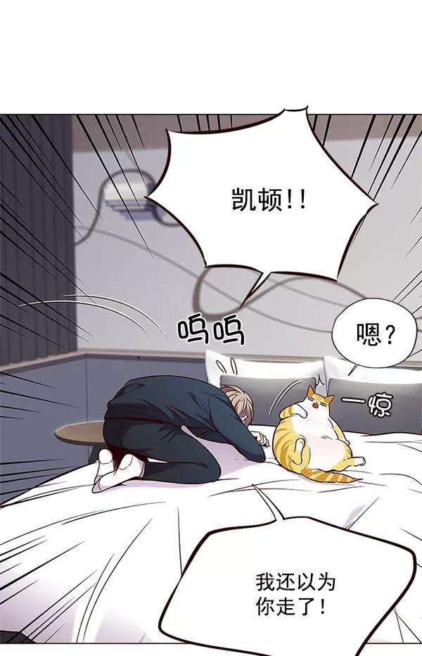 觉醒吧，铲屎官！99话