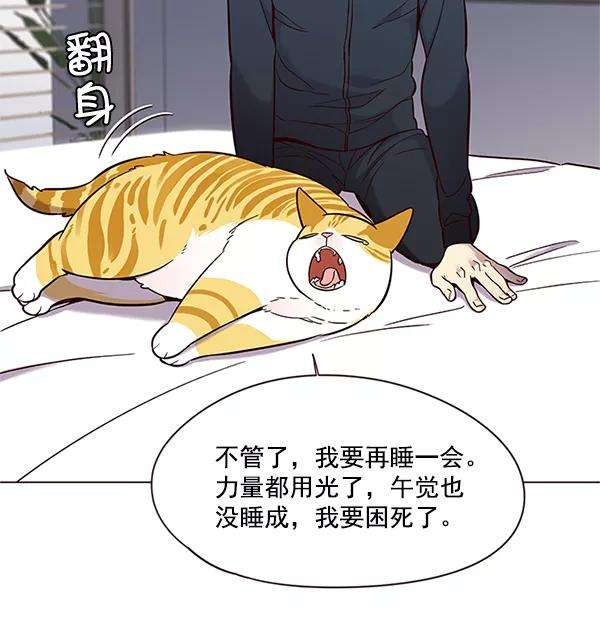 觉醒吧，铲屎官！99话