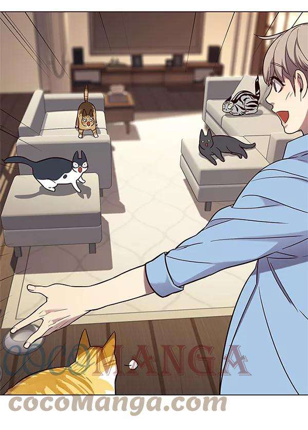 觉醒吧，铲屎官！99话