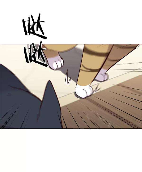 觉醒吧，铲屎官！99话