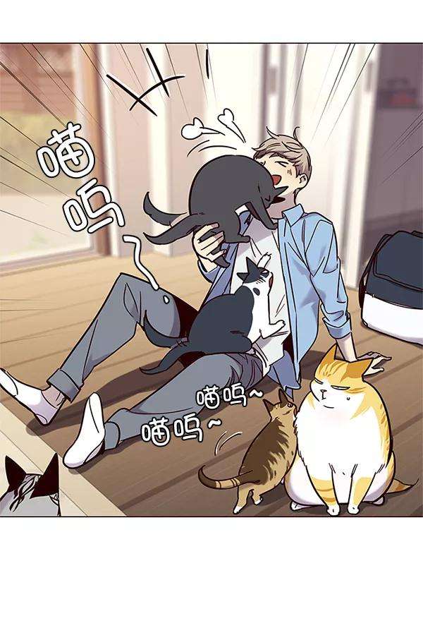 觉醒吧，铲屎官！99话