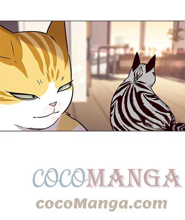 觉醒吧，铲屎官！99话