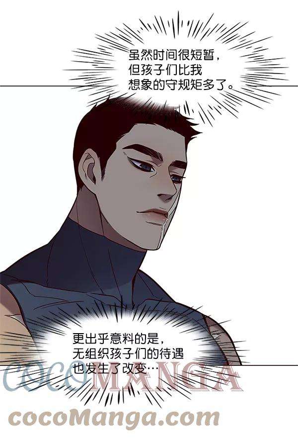 觉醒吧，铲屎官！99话