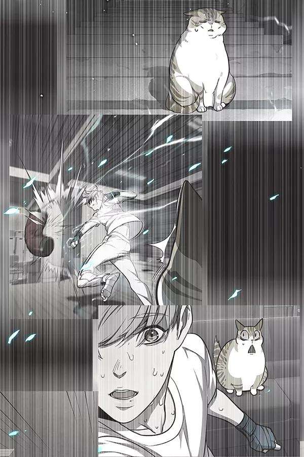 觉醒吧，铲屎官！99话