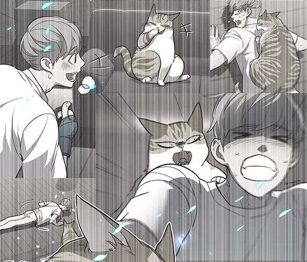 觉醒吧，铲屎官！99话