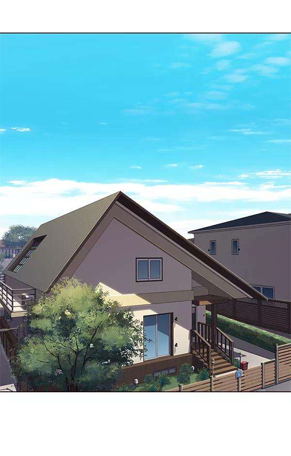 觉醒吧，铲屎官！100话