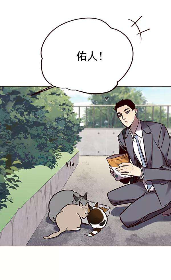 觉醒吧，铲屎官！100话